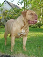 Medusa 2 years