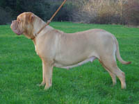 Medusa 3 years