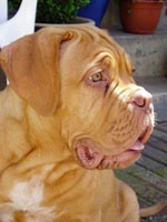 Medusa 4 months