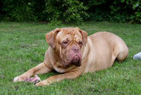 Medusa 4 years