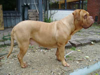 Medusa 4 years