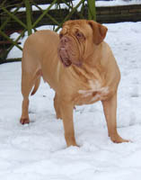 Medusa 5 years