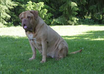 Medusa 7 years