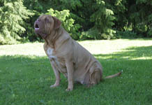 Medusa 7 years