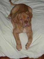 Medusa 8 weeks