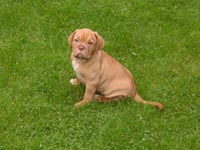 Medusa 8 weeks