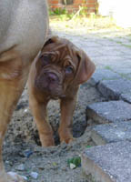 Yolene 11 weeks