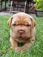Yolene 3 weeks
