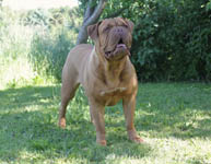Yolene 3 years