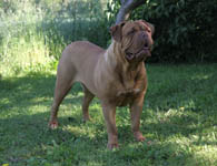 Yolene 3 years