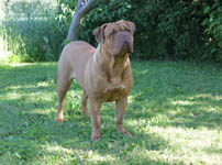 Yolene 3 years