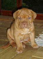 Yolene 5 weeks