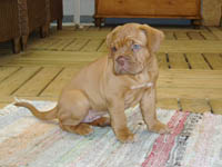 Yolene 6 weeks