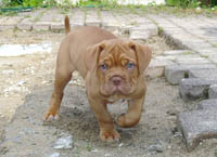 Yolene 7 weeks
