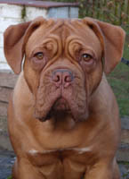 Yolene 8 months