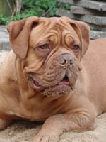Yolene 8 months
