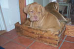 Zelma 10 weeks