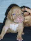 Zelma 16 days