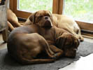 Zelma 20 months - it's Zelma on top!;o)