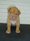 Zelma 28 days