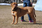 Zelma 3½ years