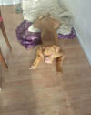 Zelma 4 months