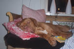 Zelma 5 months
