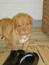 Zelma 5 weeks