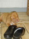 Zelma 5 weeks