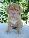 Zelma 8 weeks